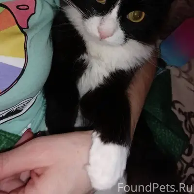 ВНИМАНИЕ!!!Помогите пожалуйста...