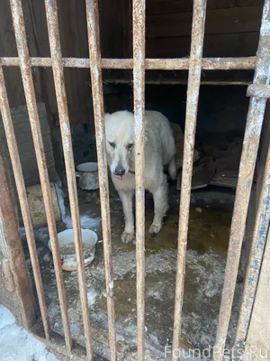 ВАЖНОЕ ОБЪЯВЛЕНИЕ‼ ПЕРЕДЕРЖКА ...