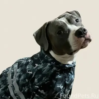 ‍ПОИСКИ ПРОДОЛЖАЮТСЯ ⚠Пропала ...