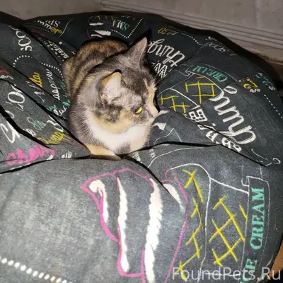 Улица 3,4,5 Березниковкая с...