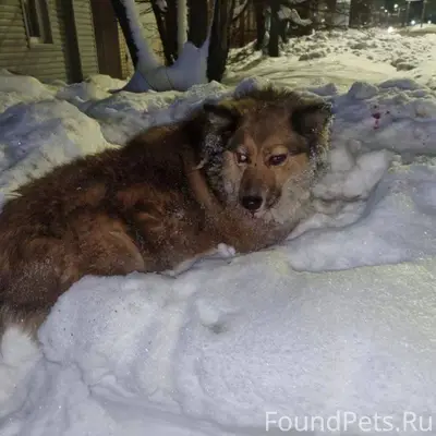 Добрый день. 30 минут назад на...