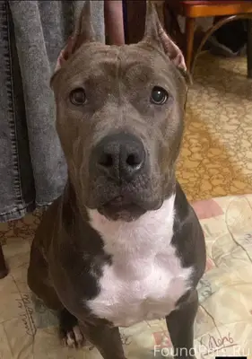 Третья и последняя попытка. Та...