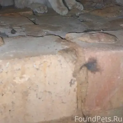 Волгоград! Счастливой истории ...