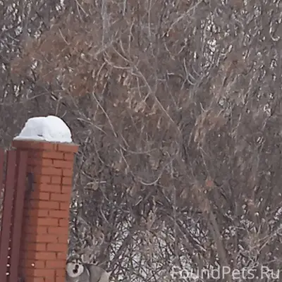 Здравствуйте,никто не потерял ...