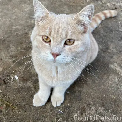 Доброго дня! В СНТ "Протва" пр...