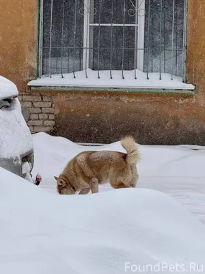 #Калуга В районе улиц Пухова и...