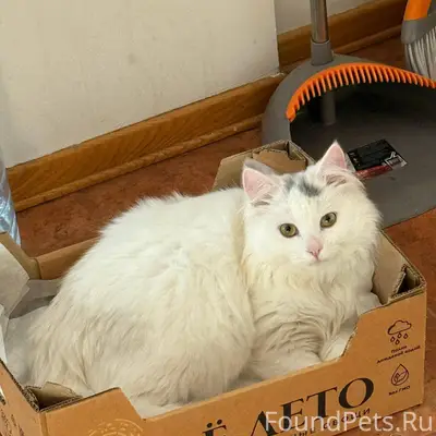 🆘⚡❗ Помогите найти ❗⚡🆘 📍Район ...