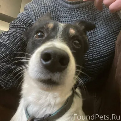 Краснотурьинск! Найден молодой...