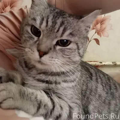 Доброго времени суток! В суббо...