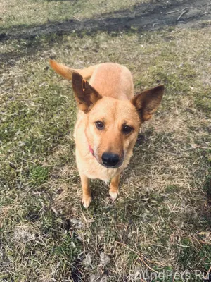 ‼Внимание 24 декабря 2025г. По...