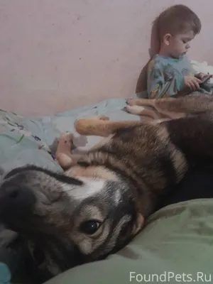 Доброе время суток! Пропала со...