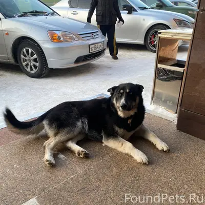 Здравствуйте! 27.01 возле ЦУМа...