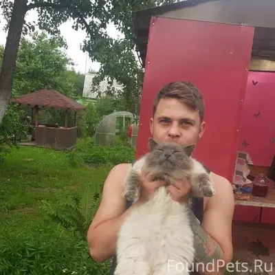 ПРОПАЛ КОТ!!!Пятый день,как пр...