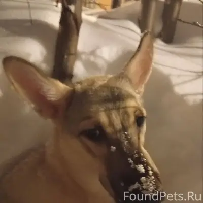 27 января в 20.30 коло...