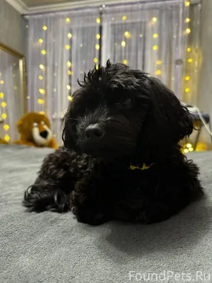 26 января в районе ул. Лексина...