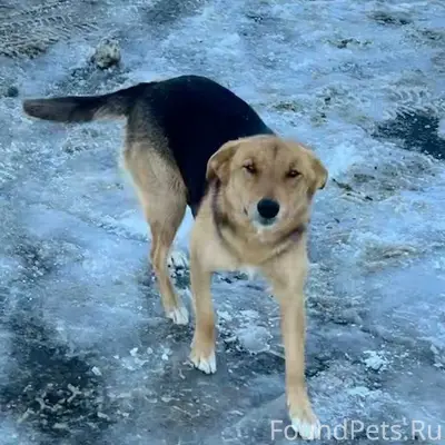 🆘 Срочно 🆘 Добрый день 🙏...