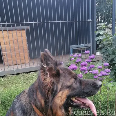 На улице Чкалова потерялась со...