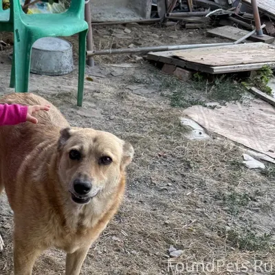 Добрый день. 25 января вечером...