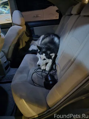 18.01 около 23 часов,выкидывал...