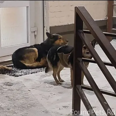 Тула. Может кто потерял? Одна ...