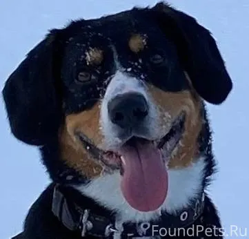 Поиски продолжаются! Важна люб...