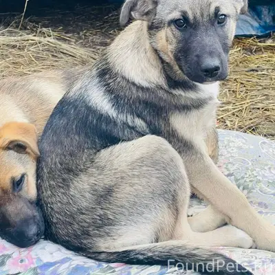 ‼️❗️Будьте внимательны! 18 янв...