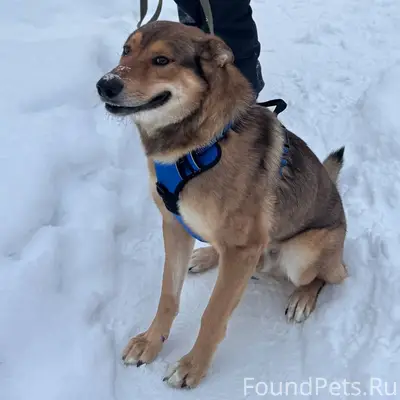 Помогите найти! 🙏🏼 В районе Не...