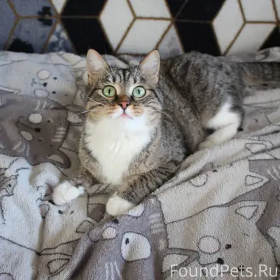 Хозяин найдись 🤞 ЛАЙК, РЕПОСТ ...