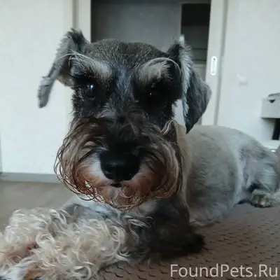 15 декабря во Владивостоке, в ...