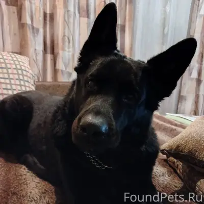 Сегодня утром 5.45 от дома...