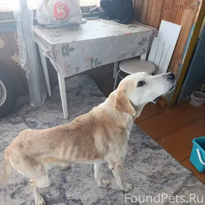 Всем добрый день, прибилась со...