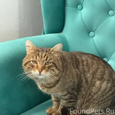 ❗️ХОЗЯИН НАЙДИСЬ❗️ Сегодня утр...