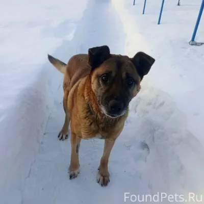 🆘🆘🆘В районе Вокзала , потеряв ...