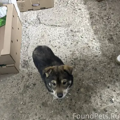 Сегодня на базу «Заря» , прибе...