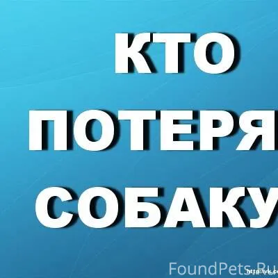 #Калуга ‼️ Калуга, Шопино ‼️ П...