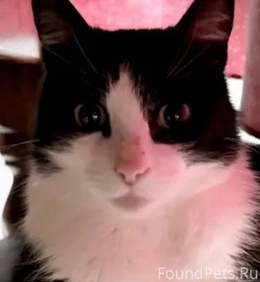 Кто из нас не терял что...