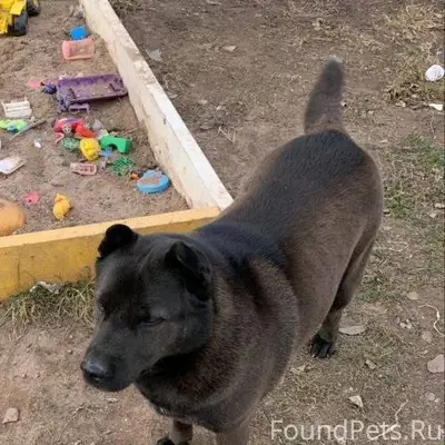 Помогите! присмотритесь! Потер...