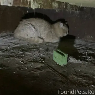 СРОЧНО 🚨 ЮГОРСК По улице завод...