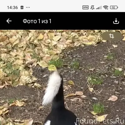 Оренбург , 23 мкр , В РАЙОНЕ Т...