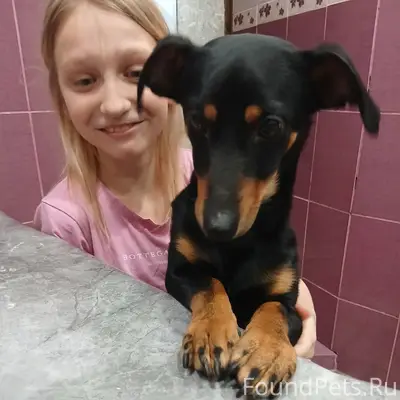 Краснооктябрьский район,в райо...