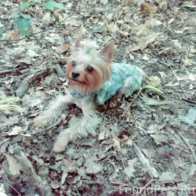 Добрый день! SOS, помогите най...