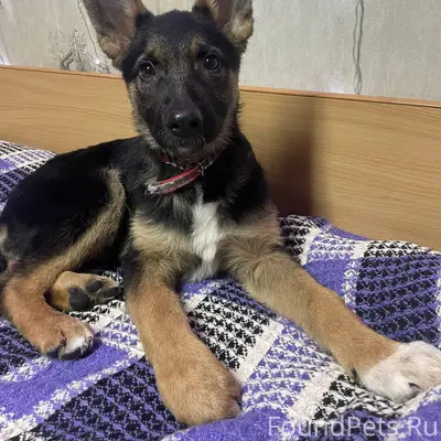 В районе остановки Солнышко на...