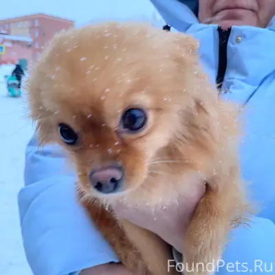 На улице Бугрова д.7, школа...