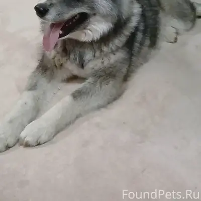 🆘🆘🆘 СРОЧНО 🆘🆘🆘 В РАЙОНЕ ЮЖНОГО...