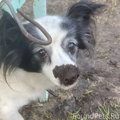 ПОИСК https://vk.ru/id22172476...