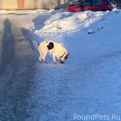 ЗАМЕЧЕН https://vk.ru/e.simil....