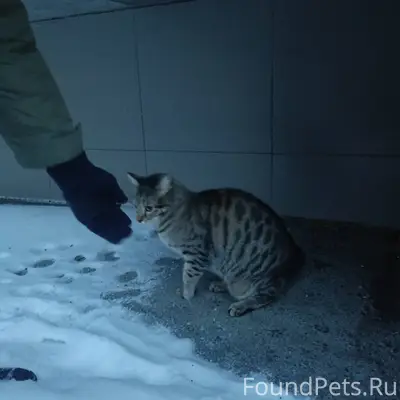 Улица Карасьевская между домам...