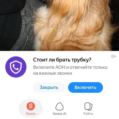 Пропала собака , пекинес девоч...