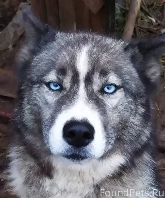 Около восьми вечера 28 января ...