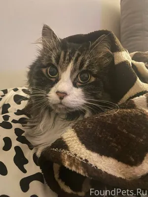 Здравствуйте, прошу вашей помо...